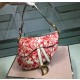 DIOR 디올 새들백