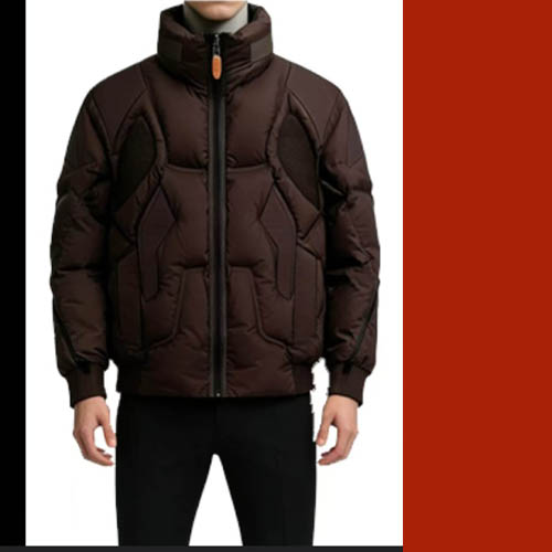 루이비통 백로고 구스다운 패딩점퍼 2종 0120